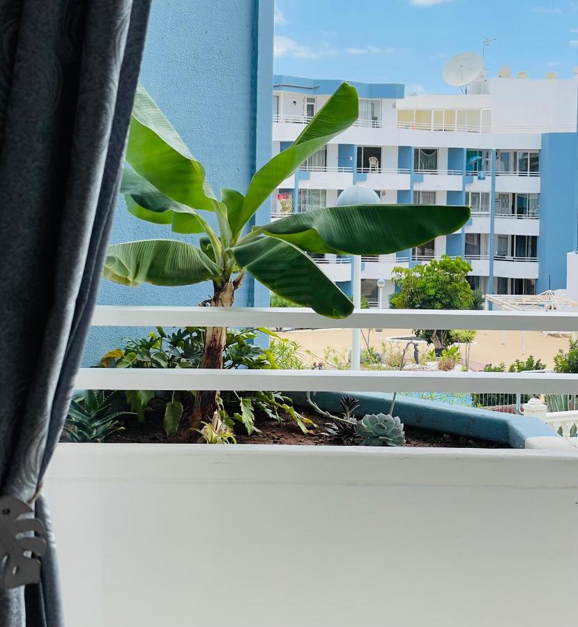 Apartment Estrella *